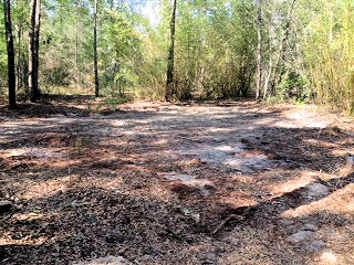 Finished Demolition work in Florahomes, Florida