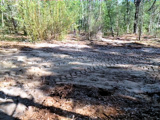 Completed Demolition work in Florahomes, Florida on Easy Street