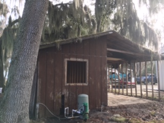 Before Shed was Demolished on SE 30th Street in Clay County
